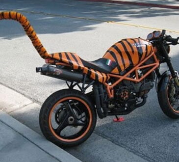 motos curiosas