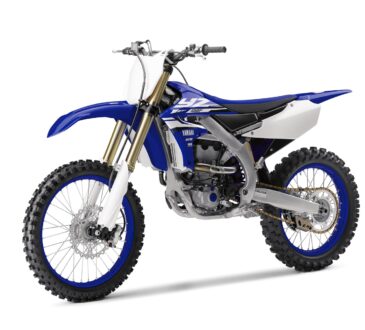 YZ