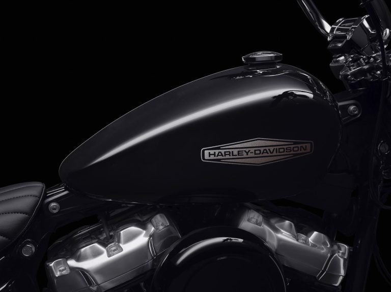 HARLEY DAVIDSON SOFTAIL STANDARD 2020